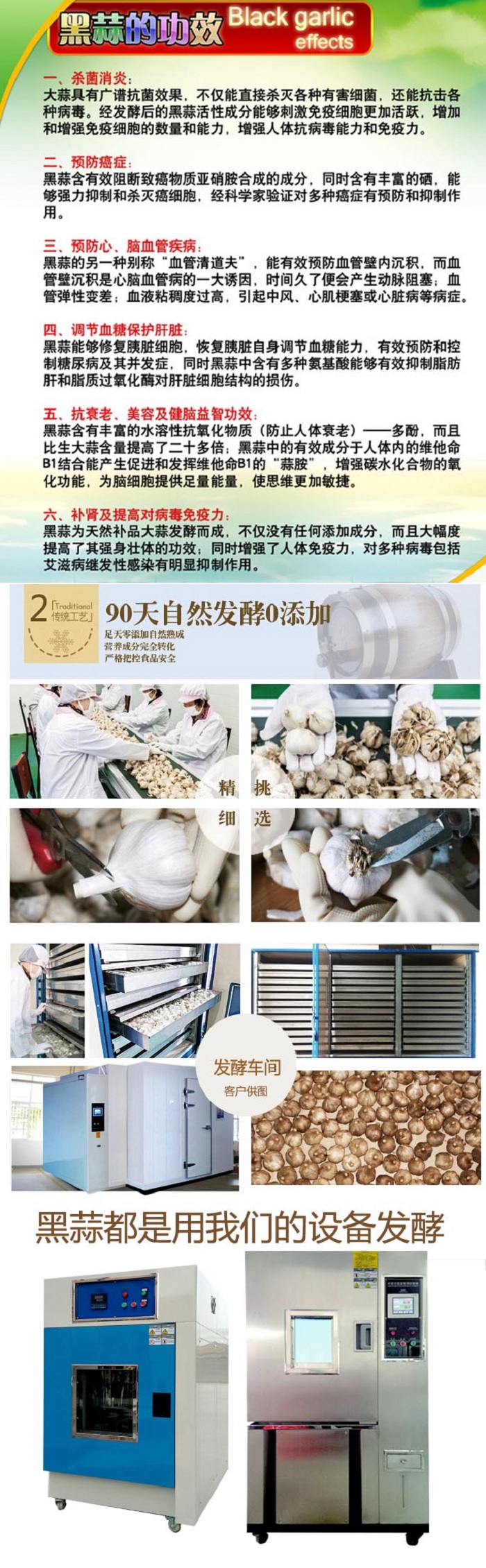 大型黑蒜發(fā)酵機(jī)